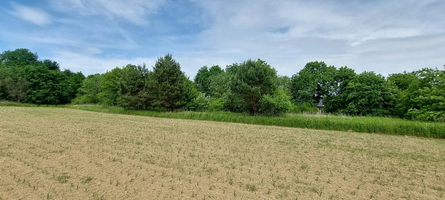 Baugrundstück am Ortsrand ohne direkten Nachbar