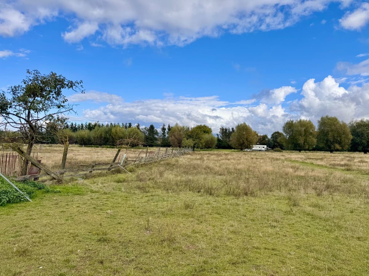 HORN IMMOBILIEN  mit Video 5,6 ha bei Löcknitz, als Wildtierfarm, zur Pferdehaltung oder für Alpakas