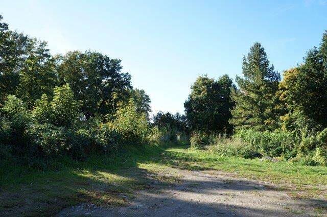Baugrundstückt für Wohnbebaung mit B-Plan in Top Lage der Hansestadt Wismar (Var. 2)