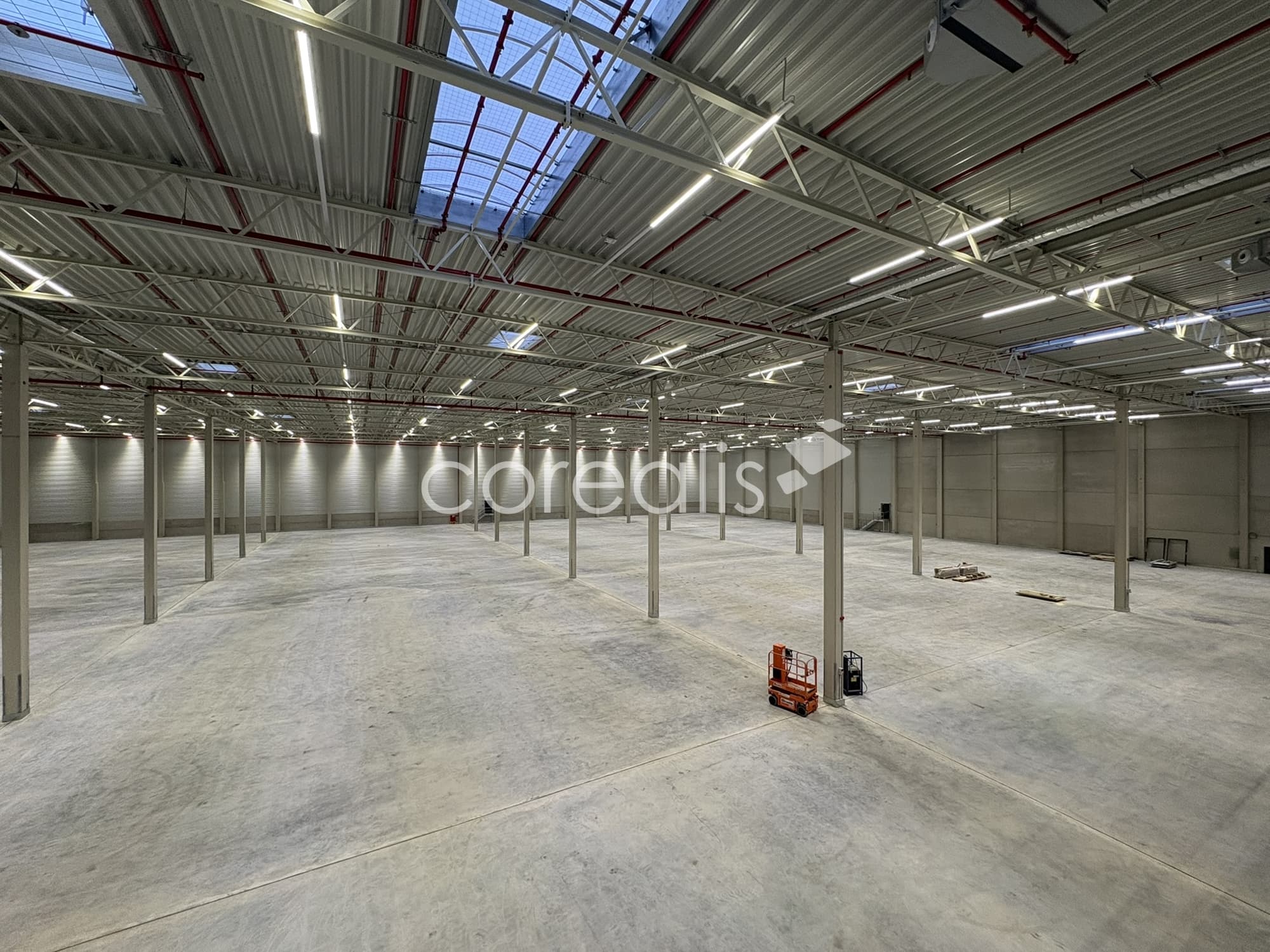 Dortmund - Hallenflächen ab 1.000 m² | ebenerdig/Rampen |Q1/27 | provisionsfrei!