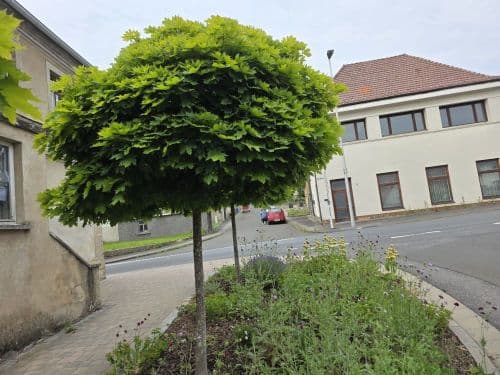 Großzügiges Wohnhaus in 96126 Ermershausen / Haßfurt  (ID 10536)