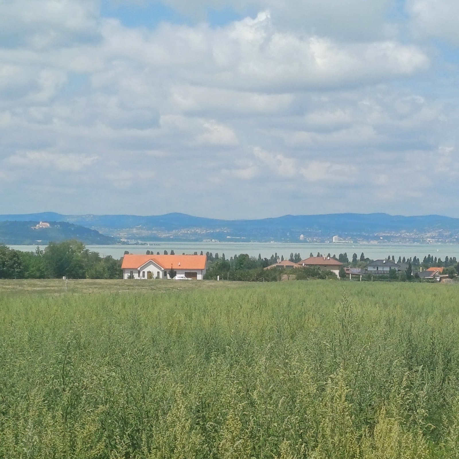 (A-A) 50 Bau-Grundstücke mit Balatonblick; Ideal für den Bauträger mit Weitblick