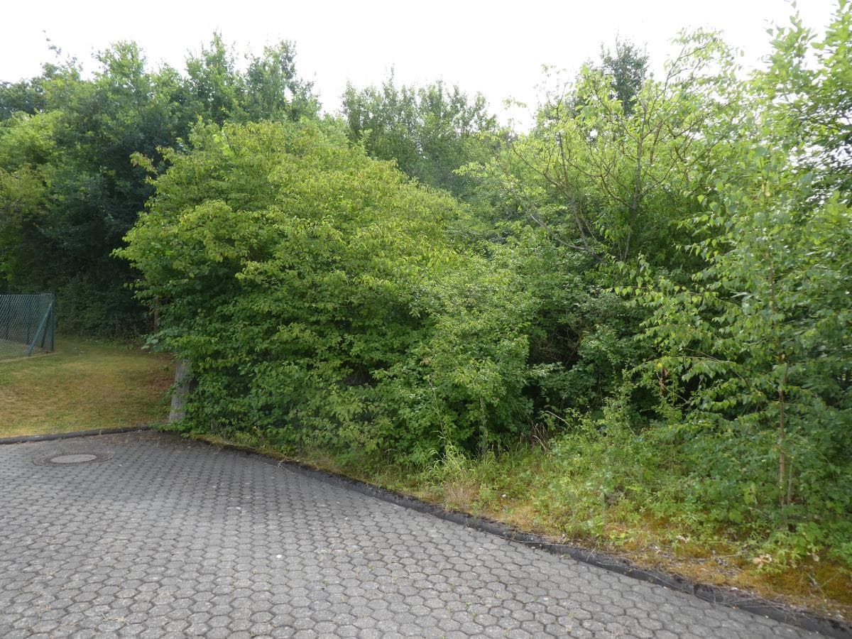 Sonniges ruhig gelegenes Baugrundstück in schöner Randlage Trier-Feyen-Grafschaft 