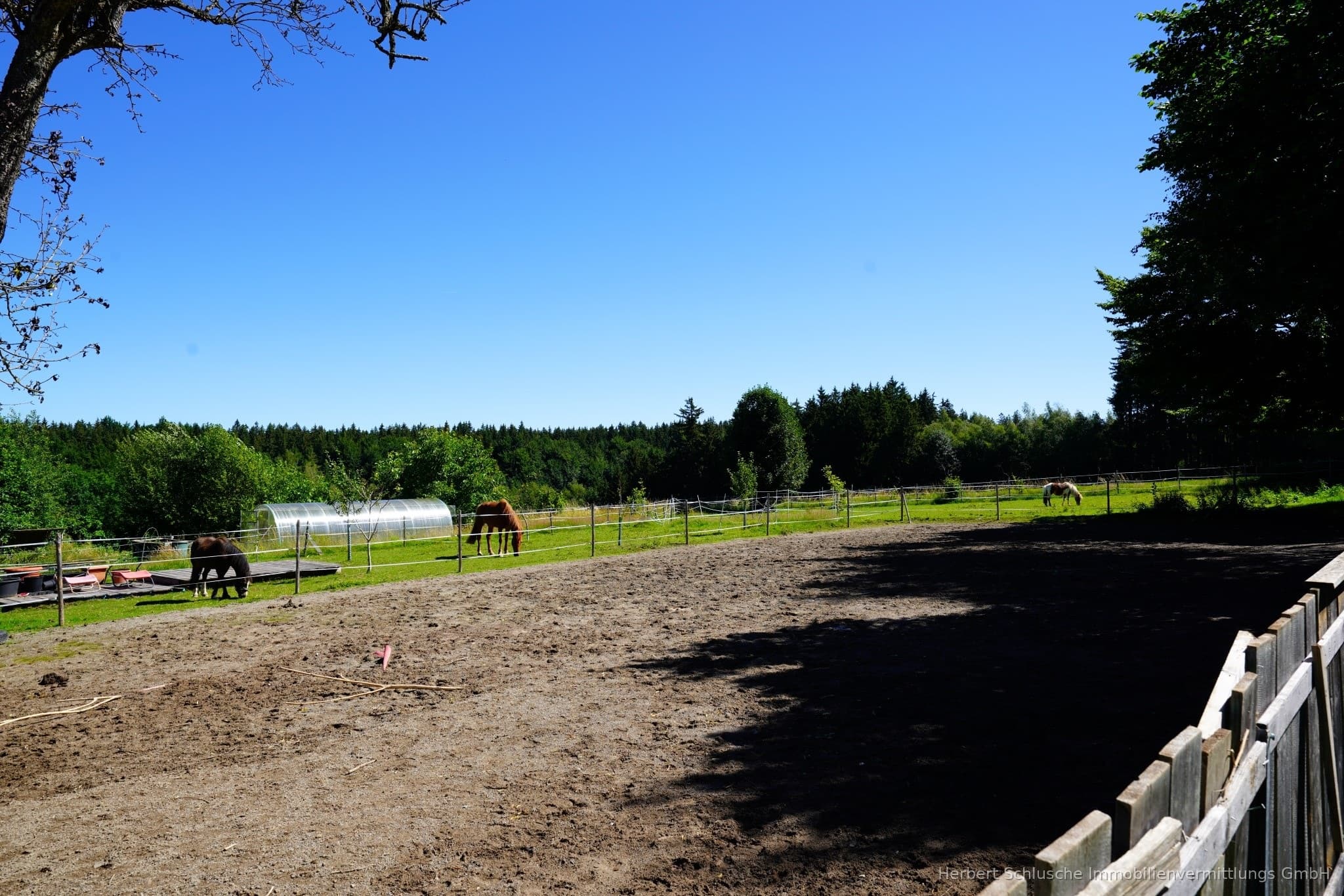 Ideal für Pferd und Reiter bei ehemaligen  Bauernhaus in Naturlage zwischen Kempten und Memmingen