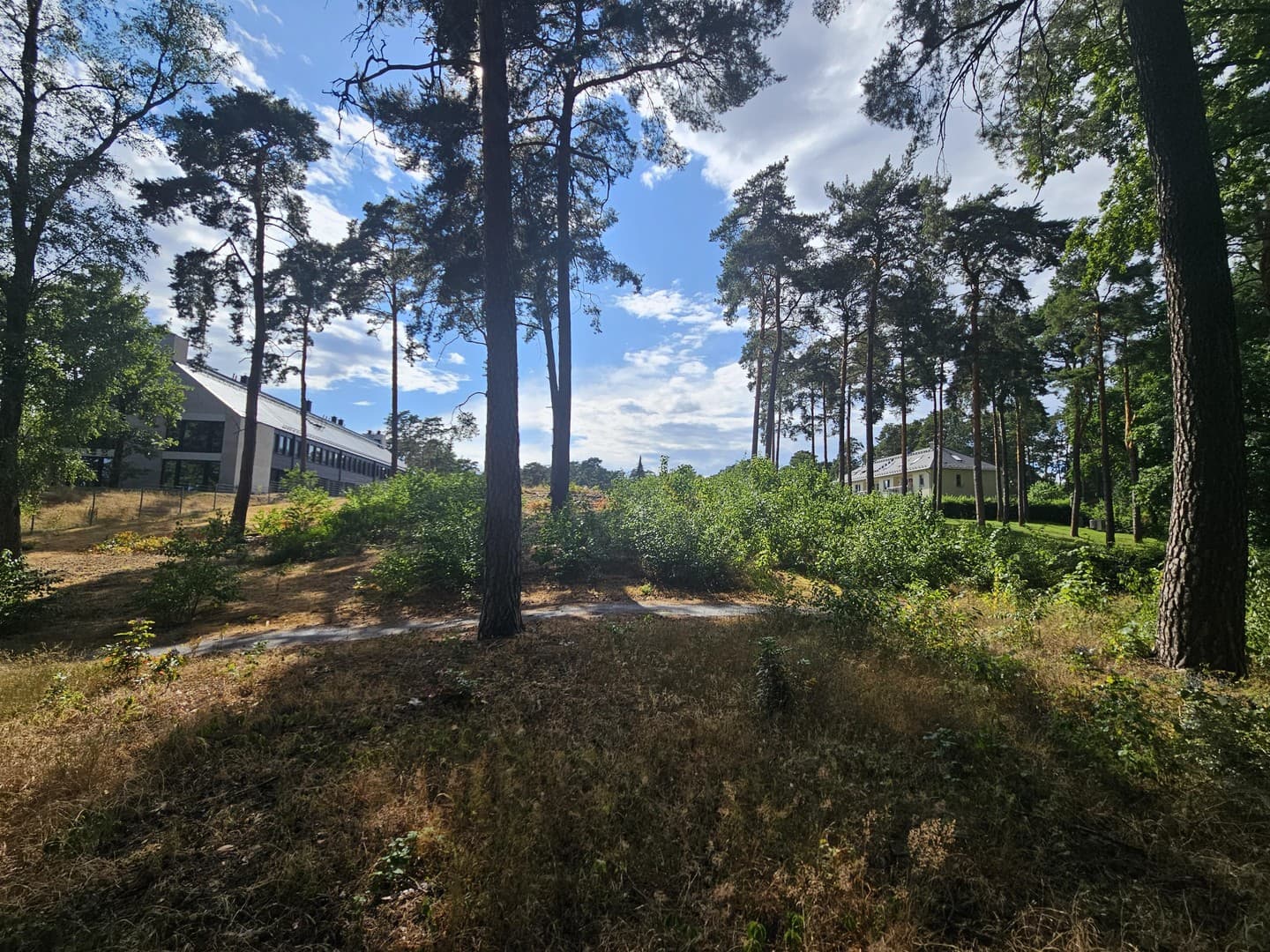 Baugrundstück am Scharmützelsee in Bad Saarow