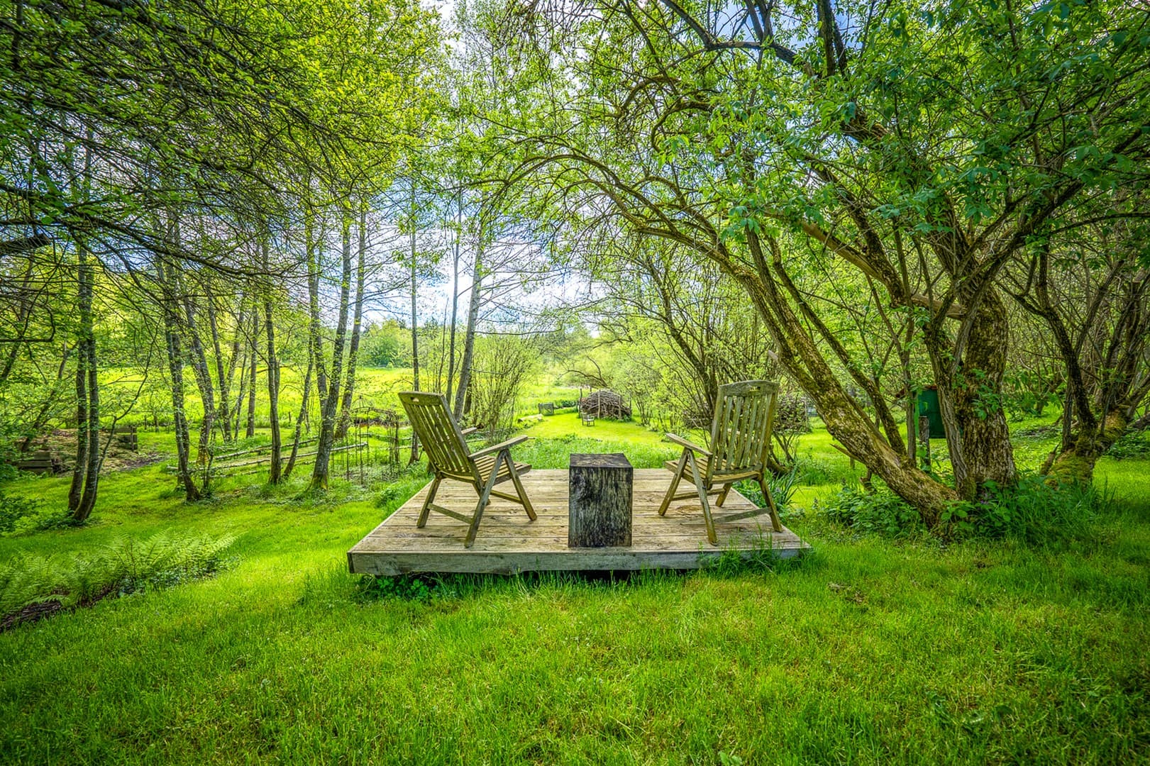 Historische Wassermühle am Lüßbach – einzigartiges Refugium auf 2.678 m² bei Berg