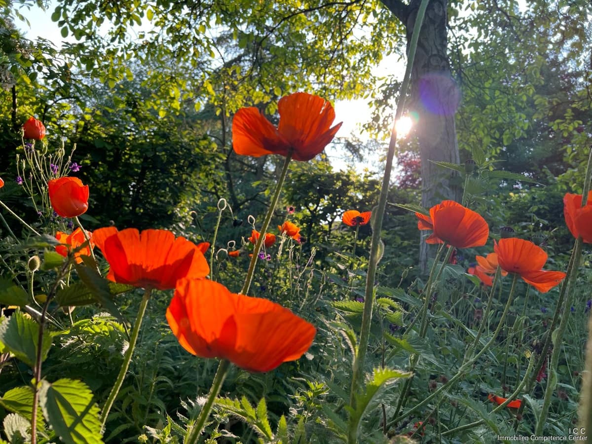 Besichtigungs-Sonntag, 30.08.2026 - 10 bis 14 Uhr
Sanierter Vierseithof - 11.500m² Wiese/Wald/Bach
320m² Wohnfläche + 500m² Nutz- und Nebenfläche