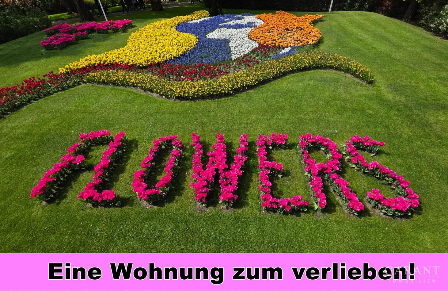 ** Koffer packen und einziehen **
