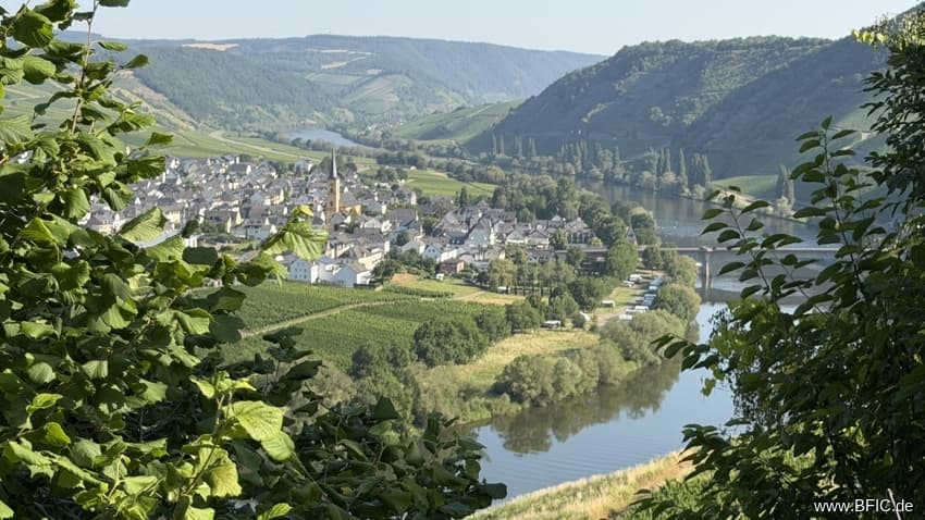 Beliebter Campingplatz mit Blick auf die Mosel mit Betreiberwohnung und Erweiterungsmöglichkeit