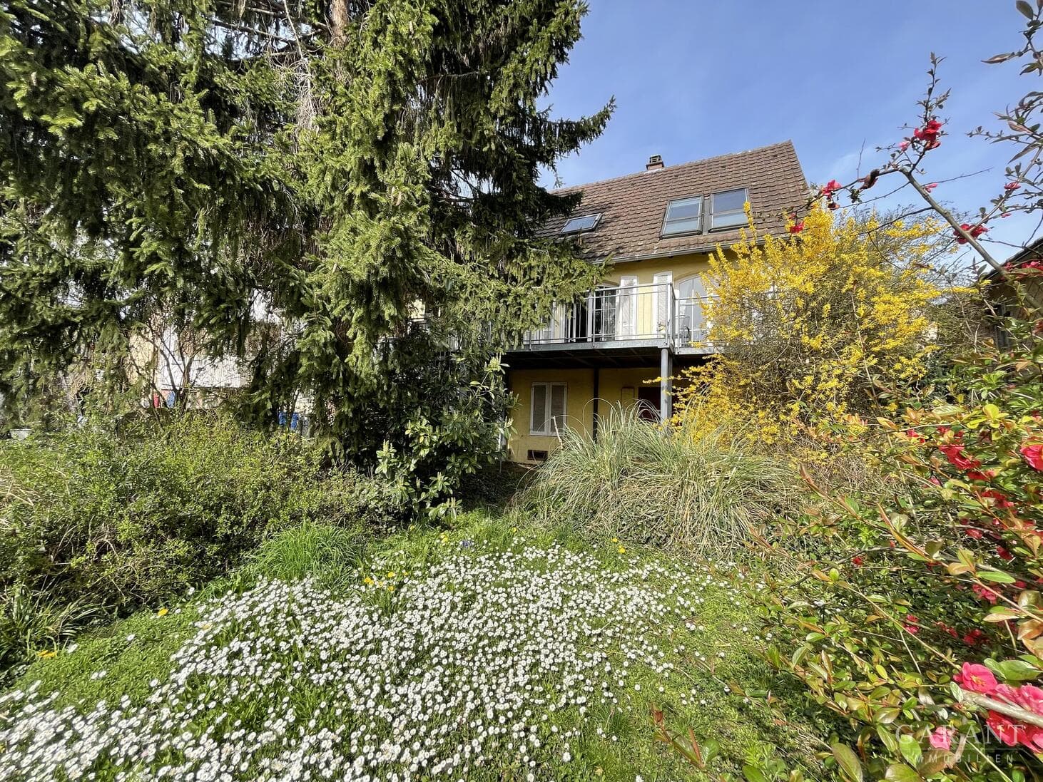 * Charmantes Altstadthaus mit einem herrlichem Garten sucht neue Liebhaber *