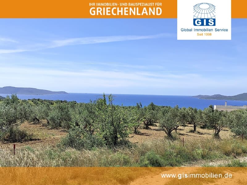 +++ Griechenland - Grundstück - Südwest-Peloponnes: 600 m zum Strand -unverbaubarer Meerblick +++