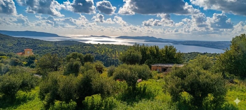 +++ GRIECHENLAND-PELOPONNES: Traum-Grundstück mit weitem Meerblick in Küstennähe, Akritochori +++