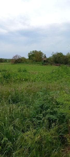 Bauland Chelopechene 18 km zu den Strändem EUR 18/m²