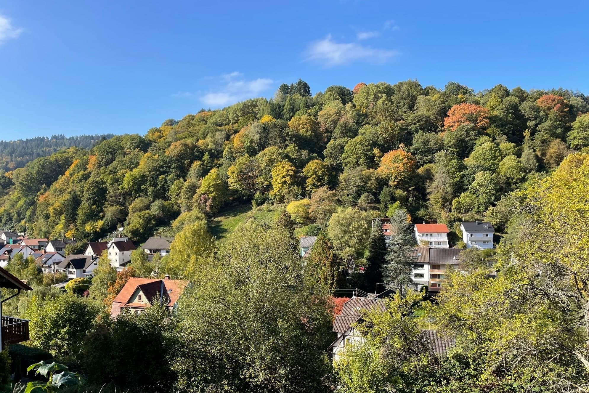 Baugrundstück in Schönau mit tollem Ausblick!