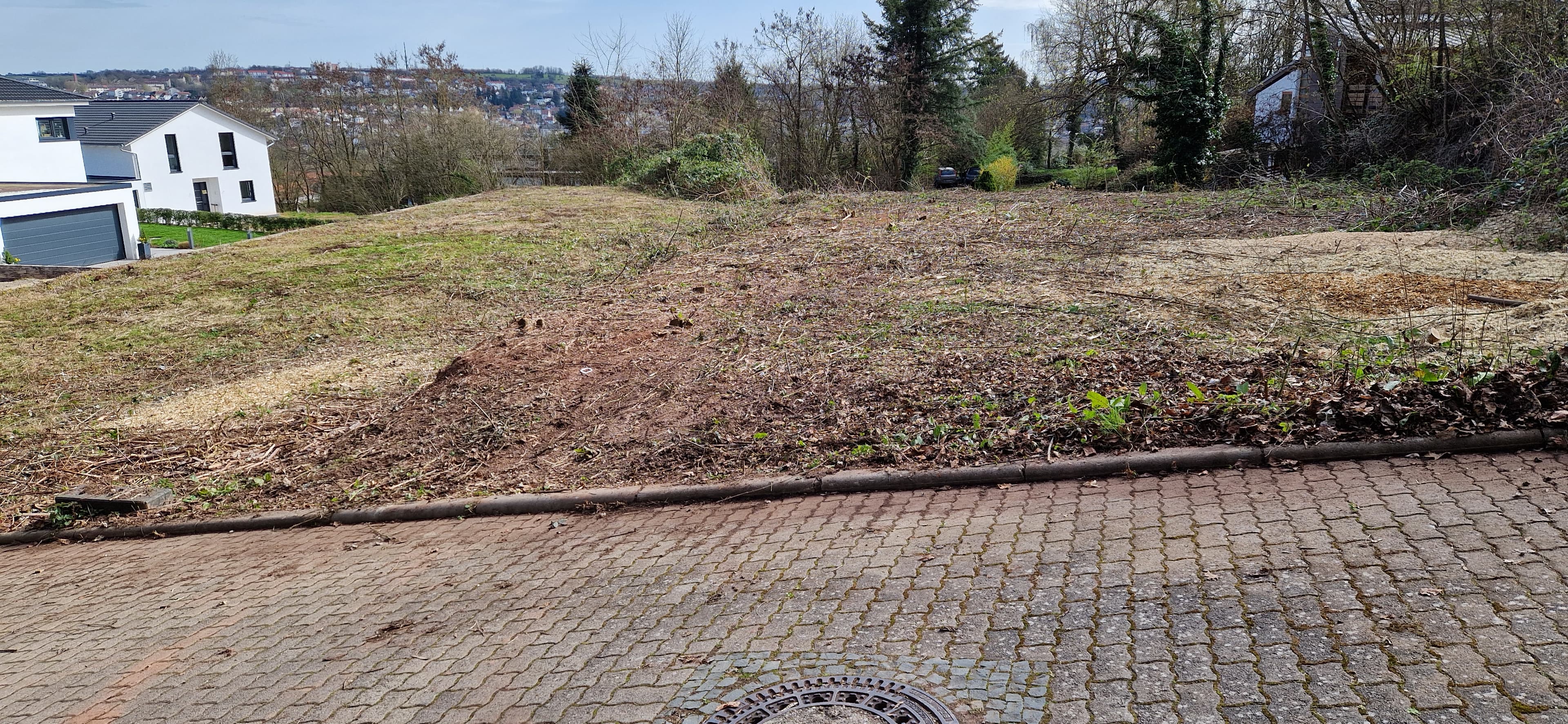 Top-Baugrundstück Südlage