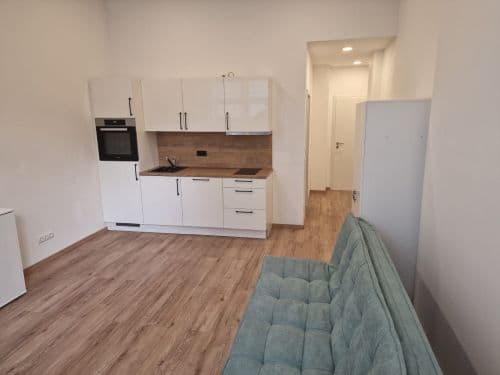 1-Zimmer-Appartement in 97421 Schweinfurt (10692)