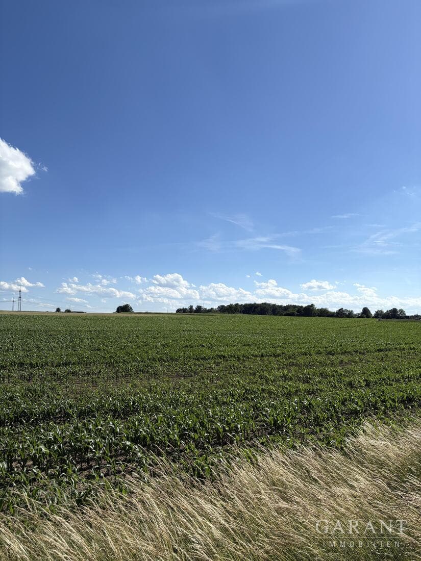Ackerfläche in guter Lage - Ideal für Landwirte und Investoren