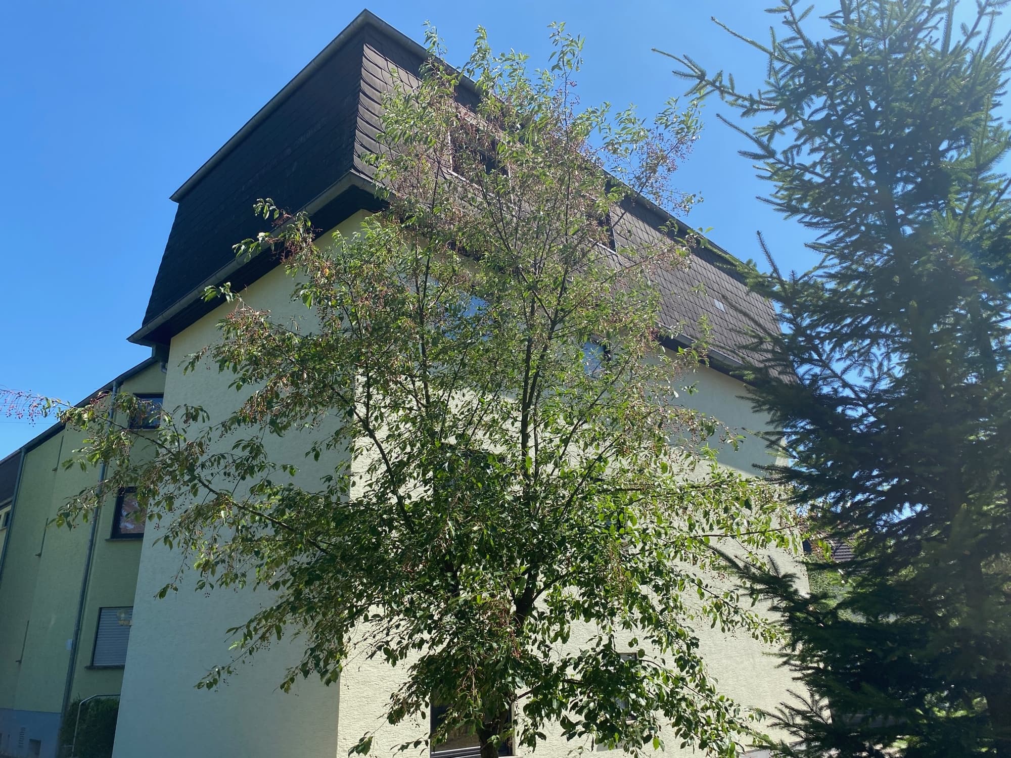 Kapitalanlage im Herzen von Baumholder –
3-Zimmer-Eigentumswohnung mit Stellplatz