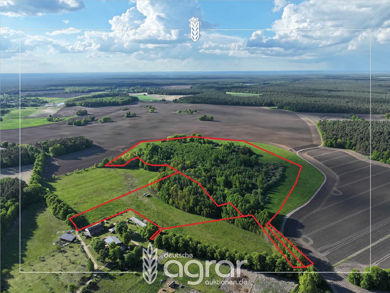 Naturbelassener Laubmischwald mit Grünlandgürtel (ca. 14 ha) in der reizvollen Uckermark bei Templin