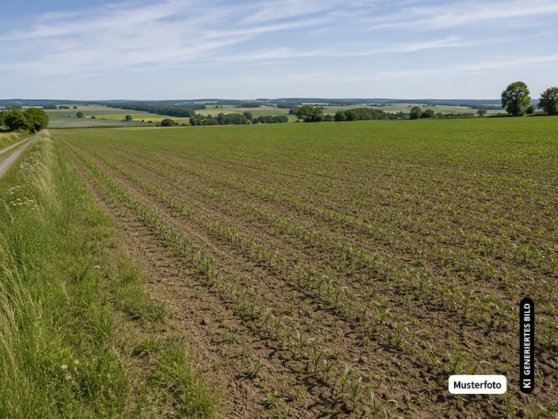 Land-/Forstflächen Oberviehbach - Ihre Chance auf eine Immobilie ohne Maklerprovision