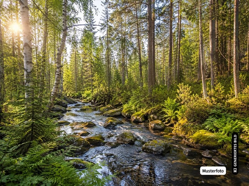 Landfläche Hohenhaslach - Ihre Möglichkeit auf eine interessante Immobilie – provisionsfrei