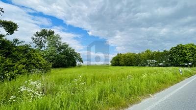 LEBEN IN DER NATUR AN DER NORDSEEKÜSTE