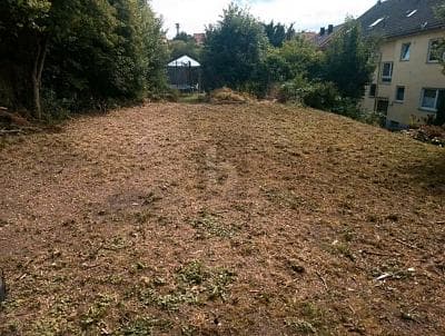 HOHES ENTWICKLUNGSPOTENZIAL IN URBANER LAGE