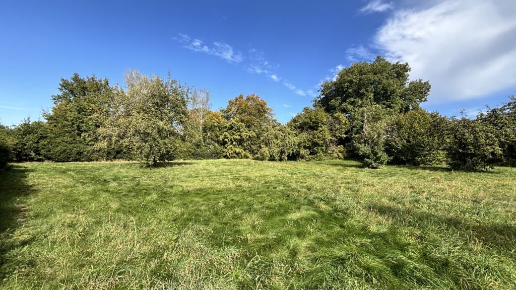 LANDLIEBE - XXL Grundstück mit Bauvorbescheid
- 82319 Starnberg - Hadorf