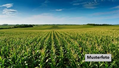 2 Landwirtschaftsflächen