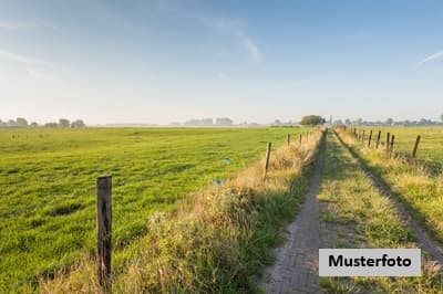 3 Landwirtschaftsflächen