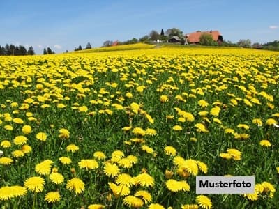 Landwirtschaftsfläche
