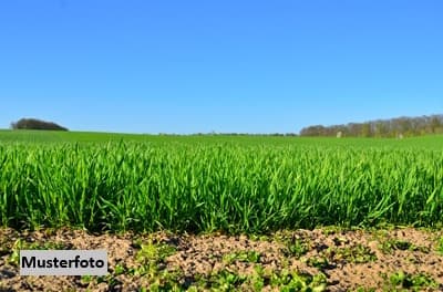 Land- und Forstwirtschaftsfläche