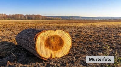 2 Landwirtschaftsflächen