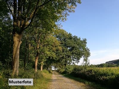 2 unbebaute Grundstücke