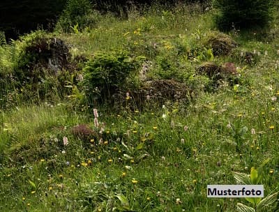 Acker-/Grünland und Waldflächen