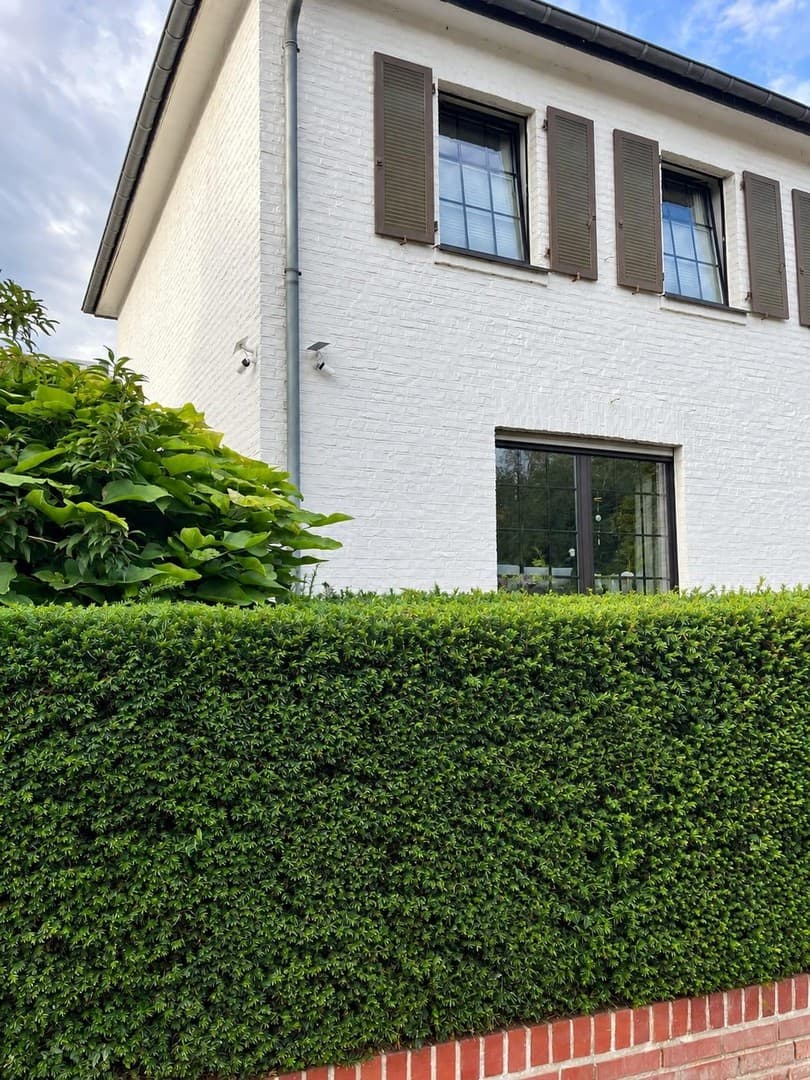 Gepflegtes freistehendes Einfamilienhaus in Zentraler Lage